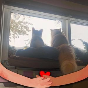 Meet your Posher, Verna